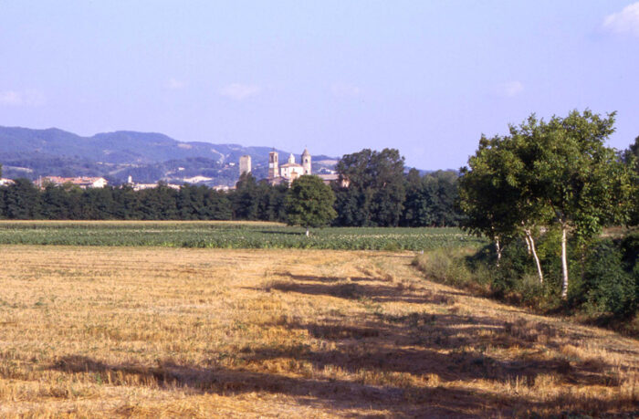 Città di Castello contemporanea