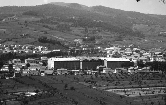 La Fattoria e i suoi stabilimenti